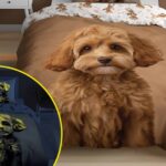 Šviečianti tamsoje patalynė (kurima.lt)